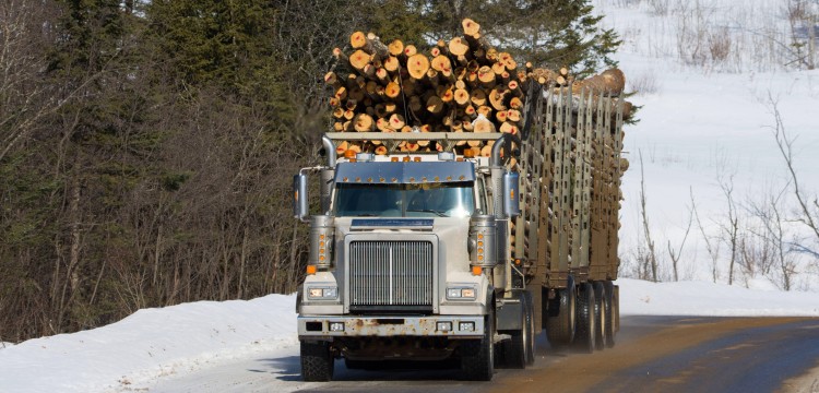 Assurance camionnage